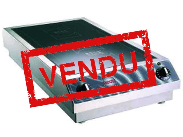 PlaqueInductionInducs_Vendu